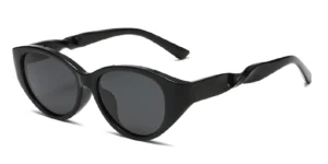 Unique Twisted Temple Chunky Acetate Cat Eye Sunglasses - LY2363